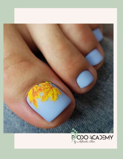 Curs BAZELE PEDICHIURII PROFESIONALE – Nivel I