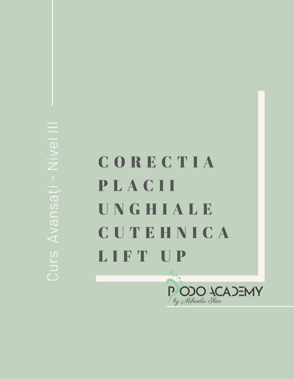 Curs CORECTAREA PLACII UNGHIALE CU TEHNICA LIFT UP – Nivel II