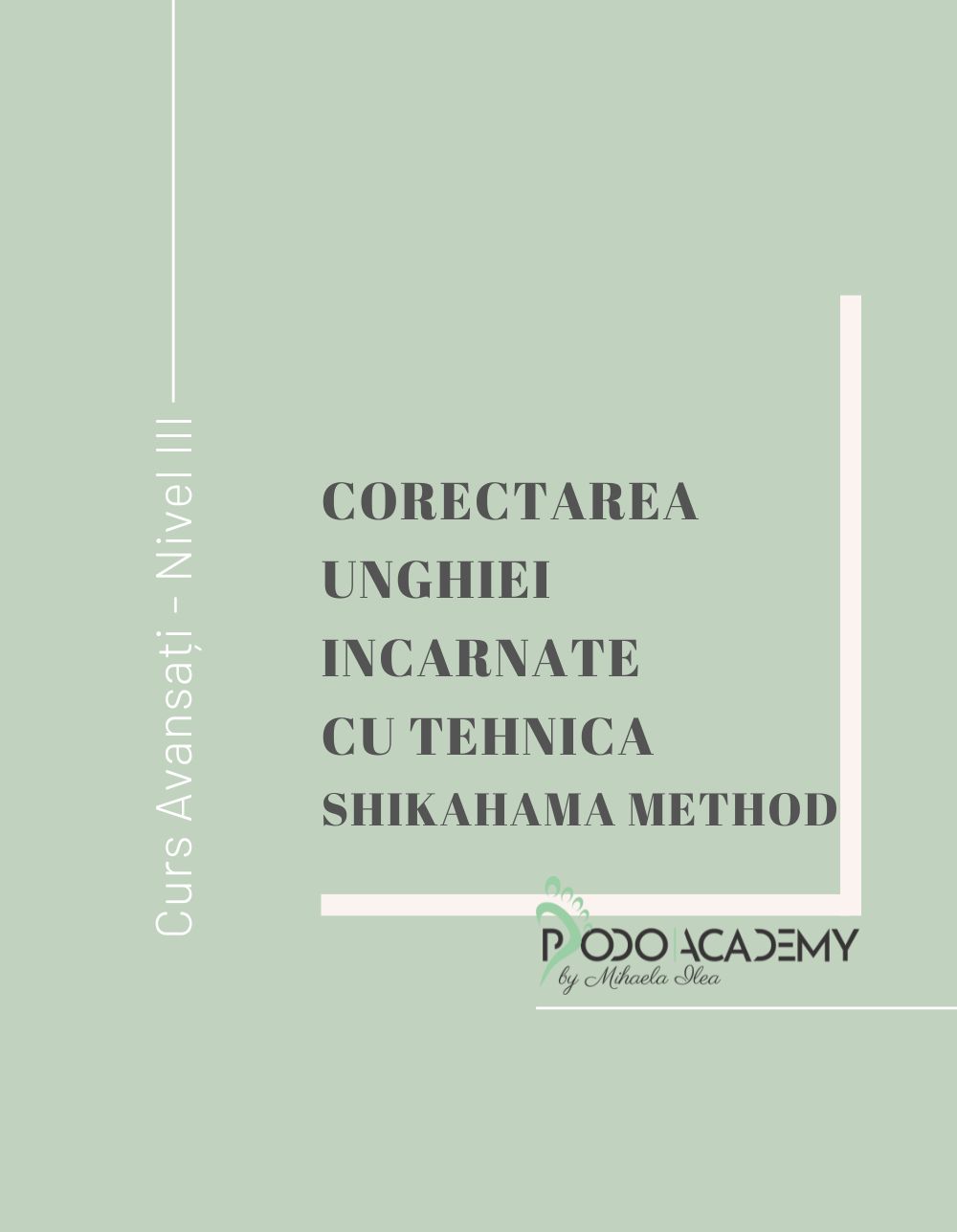 CURS CORECTAREA UNGHIEI INCARNATE CU TEHNICA SHIKAHAMA METHOD – Nivel III